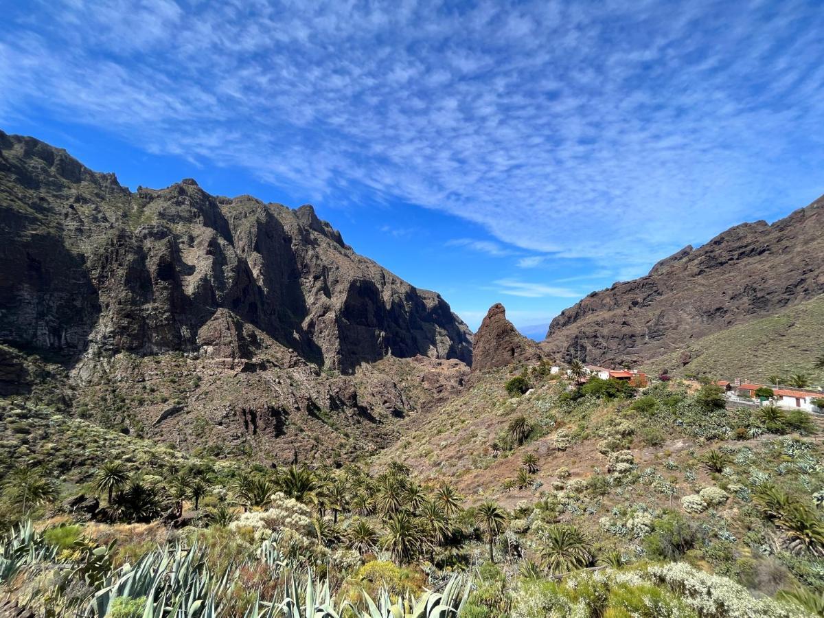 Picachos, Poris De Abona Santa Cruz de Tenerife